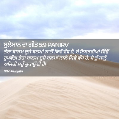 Picture 02 - ਸੁਲੇਮਾਨ ਦਾ ਗੀਤ 5:9 PANIRV - ਤੇਰਾ ਬਾਲਮ ਦੂਜੇ - Bible Verse Picture
