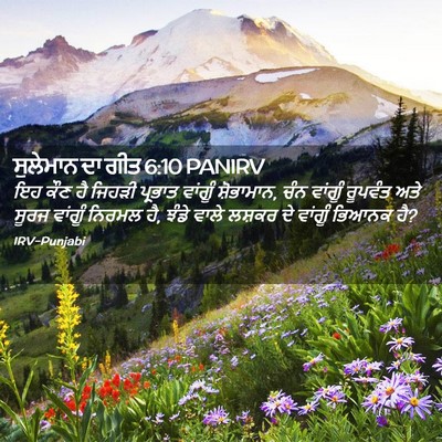 Picture 02 - ਸੁਲੇਮਾਨ ਦਾ ਗੀਤ 6:10 PANIRV - ਇਹ ਕੌਣ ਹੈ ਜਿਹੜੀ - Bible Verse Picture