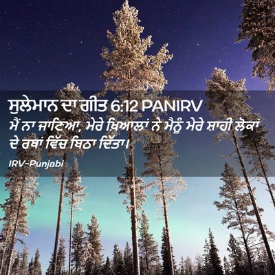 Picture 02 - ਸੁਲੇਮਾਨ ਦਾ ਗੀਤ 6:12 PANIRV - ਮੈਂ ਨਾ ਜਾਣਿਆ, ਮੇਰੇ - Bible Verse Picture
