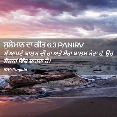 Picture 02 - ਸੁਲੇਮਾਨ ਦਾ ਗੀਤ 6:3 PANIRV - ਮੈਂ ਆਪਣੇ ਬਾਲਮ ਦੀ - Bible Verse Picture