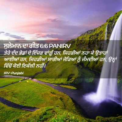 Picture 02 - ਸੁਲੇਮਾਨ ਦਾ ਗੀਤ 6:6 PANIRV - ਤੇਰੇ ਦੰਦ ਭੇਡਾਂ ਦੇ - Bible Verse Picture