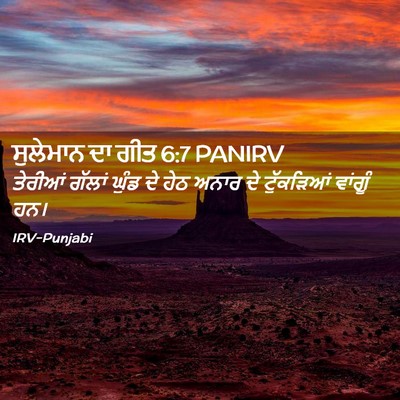 Picture 02 - ਸੁਲੇਮਾਨ ਦਾ ਗੀਤ 6:7 PANIRV - ਤੇਰੀਆਂ ਗੱਲਾਂ ਘੁੰਡ - Bible Verse Picture