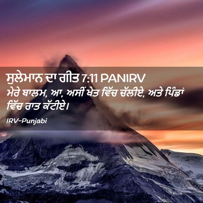Picture 02 - ਸੁਲੇਮਾਨ ਦਾ ਗੀਤ 7:11 PANIRV - ਮੇਰੇ ਬਾਲਮ, ਆ, ਅਸੀਂ - Bible Verse Picture