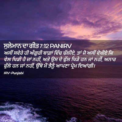 Picture 02 - ਸੁਲੇਮਾਨ ਦਾ ਗੀਤ 7:12 PANIRV - ਅਸੀਂ ਸਵੇਰੇ ਹੀ - Bible Verse Picture