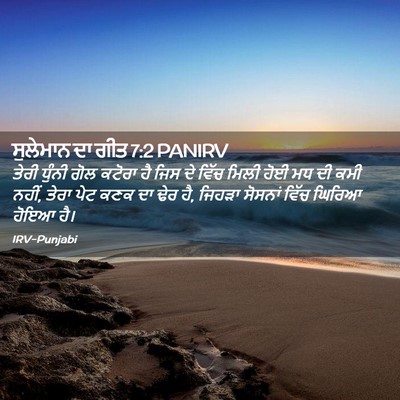 Picture 02 - ਸੁਲੇਮਾਨ ਦਾ ਗੀਤ 7:2 PANIRV - ਤੇਰੀ ਧੁੰਨੀ ਗੋਲ - Bible Verse Picture