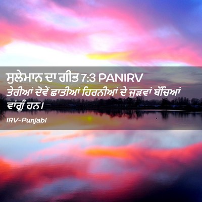Picture 02 - ਸੁਲੇਮਾਨ ਦਾ ਗੀਤ 7:3 PANIRV - ਤੇਰੀਆਂ ਦੋਵੇਂ - Bible Verse Picture