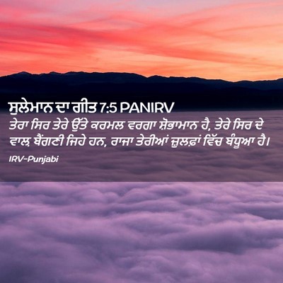 Picture 02 - ਸੁਲੇਮਾਨ ਦਾ ਗੀਤ 7:5 PANIRV - ਤੇਰਾ ਸਿਰ ਤੇਰੇ ਉੱਤੇ - Bible Verse Picture