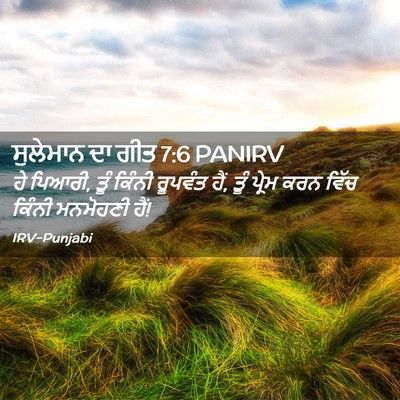 Picture 02 - ਸੁਲੇਮਾਨ ਦਾ ਗੀਤ 7:6 PANIRV - ਹੇ ਪਿਆਰੀ, ਤੂੰ ਕਿੰਨੀ - Bible Verse Picture