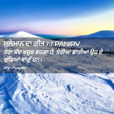 Picture 02 - ਸੁਲੇਮਾਨ ਦਾ ਗੀਤ 7:7 PANIRV - ਤੇਰਾ ਕੱਦ ਖਜ਼ੂਰ - Bible Verse Picture