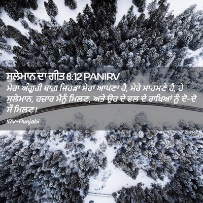 Picture 02 - ਸੁਲੇਮਾਨ ਦਾ ਗੀਤ 8:12 PANIRV - ਮੇਰਾ ਅੰਗੂਰੀ ਬਾਗ਼ - Bible Verse Picture