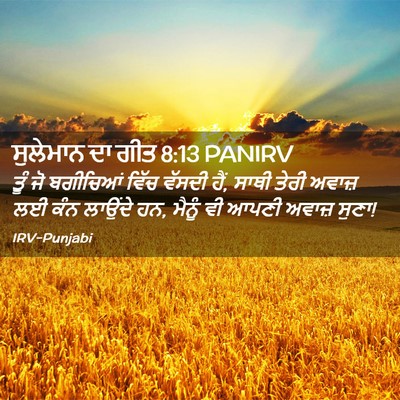 Picture 02 - ਸੁਲੇਮਾਨ ਦਾ ਗੀਤ 8:13 PANIRV - ਤੂੰ ਜੋ ਬਗੀਚਿਆਂ - Bible Verse Picture
