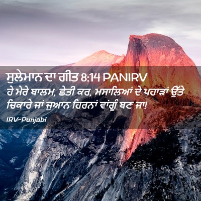 Picture 02 - ਸੁਲੇਮਾਨ ਦਾ ਗੀਤ 8:14 PANIRV - ਹੇ ਮੇਰੇ ਬਾਲਮ, ਛੇਤੀ - Bible Verse Picture
