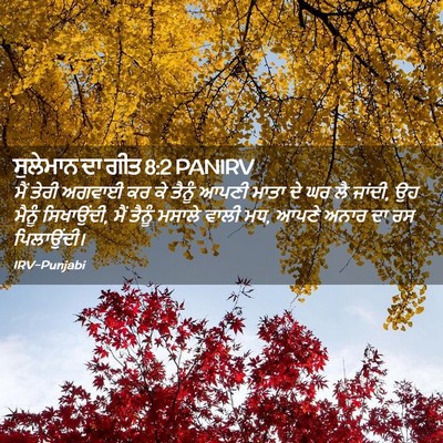 Picture 02 - ਸੁਲੇਮਾਨ ਦਾ ਗੀਤ 8:2 PANIRV - ਮੈਂ ਤੇਰੀ ਅਗਵਾਈ ਕਰ - Bible Verse Picture