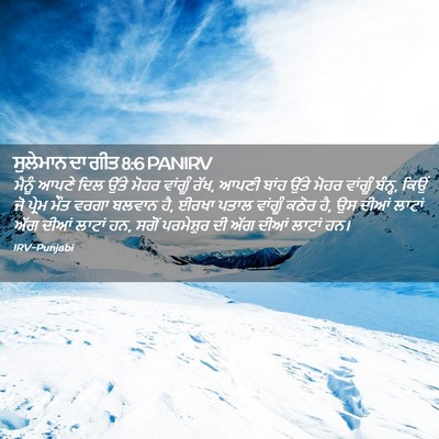 Picture 02 - ਸੁਲੇਮਾਨ ਦਾ ਗੀਤ 8:6 PANIRV - ਮੈਨੂੰ ਆਪਣੇ ਦਿਲ - Bible Verse Picture