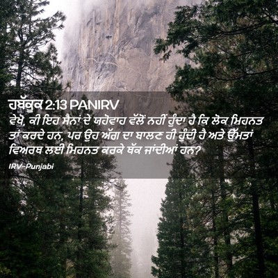 Picture 02 - ਹਬੱਕੂਕ 2:13 PANIRV - ਵੇਖੋ, ਕੀ ਇਹ ਸੈਨਾਂ - Bible Verse Picture