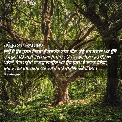Picture 02 - ਹਬੱਕੂਕ 2:17 PANIRV - ਕਿਉਂ ਜੋ ਉਹ ਜ਼ੁਲਮ - Bible Verse Picture