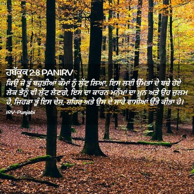 Picture 02 - ਹਬੱਕੂਕ 2:8 PANIRV - ਕਿਉਂ ਜੋ ਤੂੰ - Bible Verse Picture