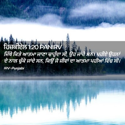 Picture 02 - ਹਿਜ਼ਕੀਏਲ 1:20 PANIRV - ਜਿੱਥੇ ਕਿਤੇ ਆਤਮਾ - Bible Verse Picture