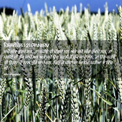 Picture 02 - ਹਿਜ਼ਕੀਏਲ 1:21 PANIRV - ਜਦੋਂ ਜੀਵ ਤੁਰਦੇ ਸਨ, - Bible Verse Picture