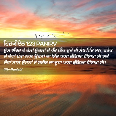 Picture 02 - ਹਿਜ਼ਕੀਏਲ 1:23 PANIRV - ਉਸ ਅੰਬਰ ਦੇ ਹੇਠਾਂ - Bible Verse Picture