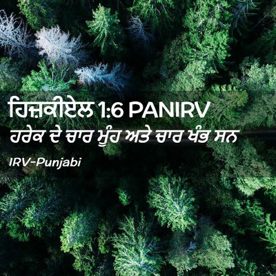 Picture 02 - ਹਿਜ਼ਕੀਏਲ 1:6 PANIRV - ਹਰੇਕ ਦੇ ਚਾਰ ਮੂੰਹ - Bible Verse Picture