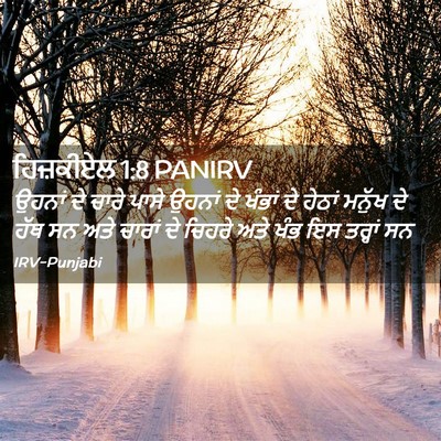 Picture 02 - ਹਿਜ਼ਕੀਏਲ 1:8 PANIRV - ਉਹਨਾਂ ਦੇ ਚਾਰੇ ਪਾਸੇ - Bible Verse Picture