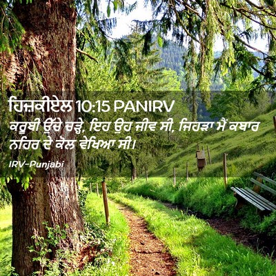 Picture 02 - ਹਿਜ਼ਕੀਏਲ 10:15 PANIRV - ਕਰੂਬੀ ਉੱਚੇ ਚੜ੍ਹੇ, - Bible Verse Picture