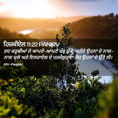 Picture 02 - ਹਿਜ਼ਕੀਏਲ 11:22 PANIRV - ਤਦ ਕਰੂਬੀਆਂ ਨੇ - Bible Verse Picture