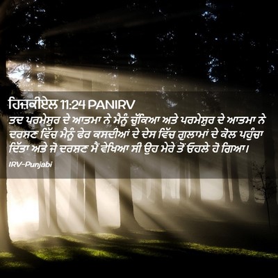 Picture 02 - ਹਿਜ਼ਕੀਏਲ 11:24 PANIRV - ਤਦ ਪਰਮੇਸ਼ੁਰ ਦੇ - Bible Verse Picture