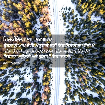 Picture 02 - ਹਿਜ਼ਕੀਏਲ 12:11 PANIRV - ਉਹਨਾਂ ਨੂੰ ਆਖ ਦੇ ਕਿ - Bible Verse Picture