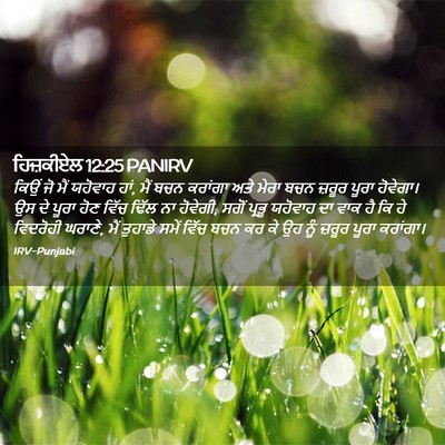 Picture 02 - ਹਿਜ਼ਕੀਏਲ 12:25 PANIRV - ਕਿਉਂ ਜੋ ਮੈਂ ਯਹੋਵਾਹ - Bible Verse Picture