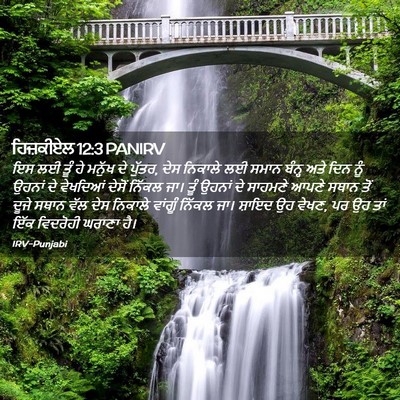 Picture 02 - ਹਿਜ਼ਕੀਏਲ 12:3 PANIRV - ਇਸ ਲਈ ਤੂੰ ਹੇ ਮਨੁੱਖ - Bible Verse Picture