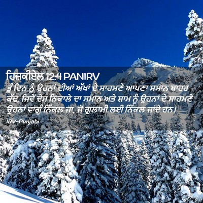 Picture 02 - ਹਿਜ਼ਕੀਏਲ 12:4 PANIRV - ਤੂੰ ਦਿਨ ਨੂੰ ਉਹਨਾਂ - Bible Verse Picture