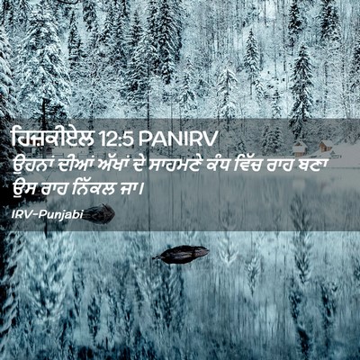 Picture 02 - ਹਿਜ਼ਕੀਏਲ 12:5 PANIRV - ਉਹਨਾਂ ਦੀਆਂ ਅੱਖਾਂ - Bible Verse Picture