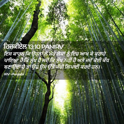 Picture 02 - ਹਿਜ਼ਕੀਏਲ 13:10 PANIRV - ਇਸ ਕਾਰਨ ਕਿ ਉਹਨਾਂ ਨੇ - Bible Verse Picture