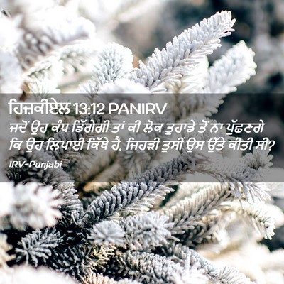 Picture 02 - ਹਿਜ਼ਕੀਏਲ 13:12 PANIRV - ਜਦੋਂ ਉਹ ਕੰਧ - Bible Verse Picture