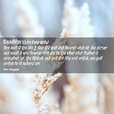 Picture 02 - ਹਿਜ਼ਕੀਏਲ 13:14 PANIRV - ਇਸ ਲਈ ਮੈਂ ਉਸ ਕੰਧ - Bible Verse Picture
