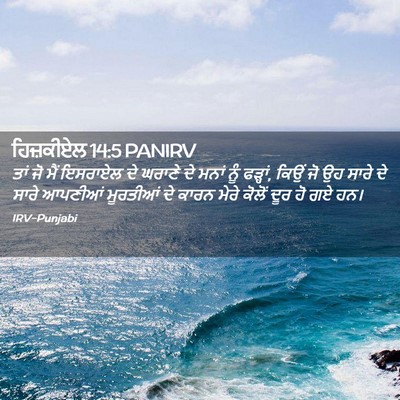 Picture 02 - ਹਿਜ਼ਕੀਏਲ 14:5 PANIRV - ਤਾਂ ਜੋ ਮੈਂ ਇਸਰਾਏਲ - Bible Verse Picture