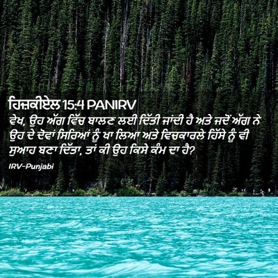 Picture 02 - ਹਿਜ਼ਕੀਏਲ 15:4 PANIRV - ਵੇਖ, ਉਹ ਅੱਗ ਵਿੱਚ - Bible Verse Picture