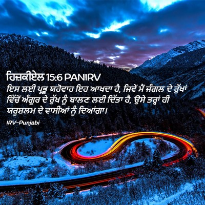 Picture 02 - ਹਿਜ਼ਕੀਏਲ 15:6 PANIRV - ਇਸ ਲਈ ਪ੍ਰਭੂ ਯਹੋਵਾਹ - Bible Verse Picture