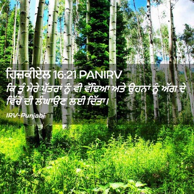 Picture 02 - ਹਿਜ਼ਕੀਏਲ 16:21 PANIRV - ਕਿ ਤੂੰ ਮੇਰੇ - Bible Verse Picture