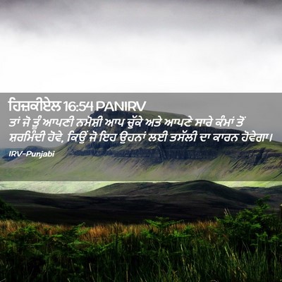 Picture 02 - ਹਿਜ਼ਕੀਏਲ 16:54 PANIRV - ਤਾਂ ਜੋ ਤੂੰ ਆਪਣੀ - Bible Verse Picture