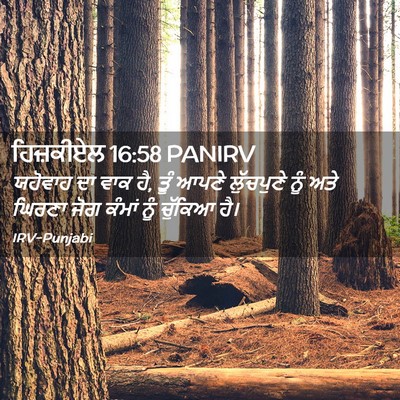 Picture 02 - ਹਿਜ਼ਕੀਏਲ 16:58 PANIRV - ਯਹੋਵਾਹ ਦਾ ਵਾਕ ਹੈ, - Bible Verse Picture