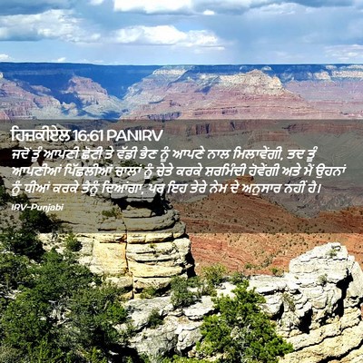 Picture 02 - ਹਿਜ਼ਕੀਏਲ 16:61 PANIRV - ਜਦੋਂ ਤੂੰ ਆਪਣੀ ਛੋਟੀ - Bible Verse Picture
