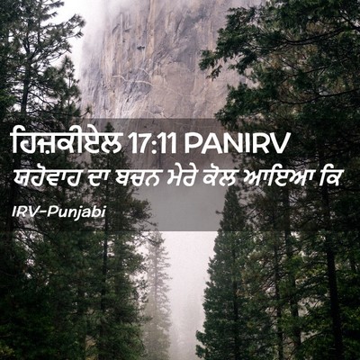 Picture 02 - ਹਿਜ਼ਕੀਏਲ 17:11 PANIRV - ਯਹੋਵਾਹ ਦਾ ਬਚਨ ਮੇਰੇ - Bible Verse Picture