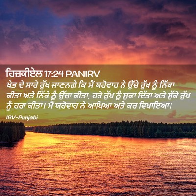 Picture 02 - ਹਿਜ਼ਕੀਏਲ 17:24 PANIRV - ਖੇਤ ਦੇ ਸਾਰੇ ਰੁੱਖ - Bible Verse Picture