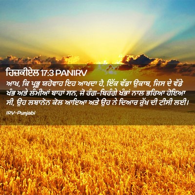 Picture 02 - ਹਿਜ਼ਕੀਏਲ 17:3 PANIRV - ਆਖ, ਕਿ ਪ੍ਰਭੂ ਯਹੋਵਾਹ - Bible Verse Picture
