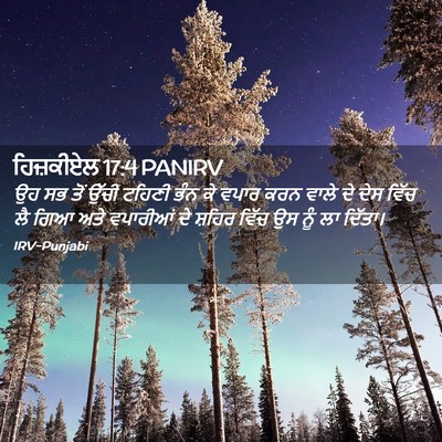 Picture 02 - ਹਿਜ਼ਕੀਏਲ 17:4 PANIRV - ਉਹ ਸਭ ਤੋਂ ਉੱਚੀ - Bible Verse Picture