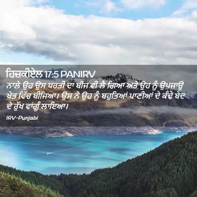 Picture 02 - ਹਿਜ਼ਕੀਏਲ 17:5 PANIRV - ਨਾਲੇ ਉਹ ਉਸ ਧਰਤੀ ਦਾ - Bible Verse Picture