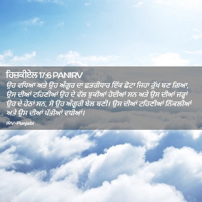 Picture 02 - ਹਿਜ਼ਕੀਏਲ 17:6 PANIRV - ਉਹ ਵਧਿਆ ਅਤੇ ਉਹ - Bible Verse Picture